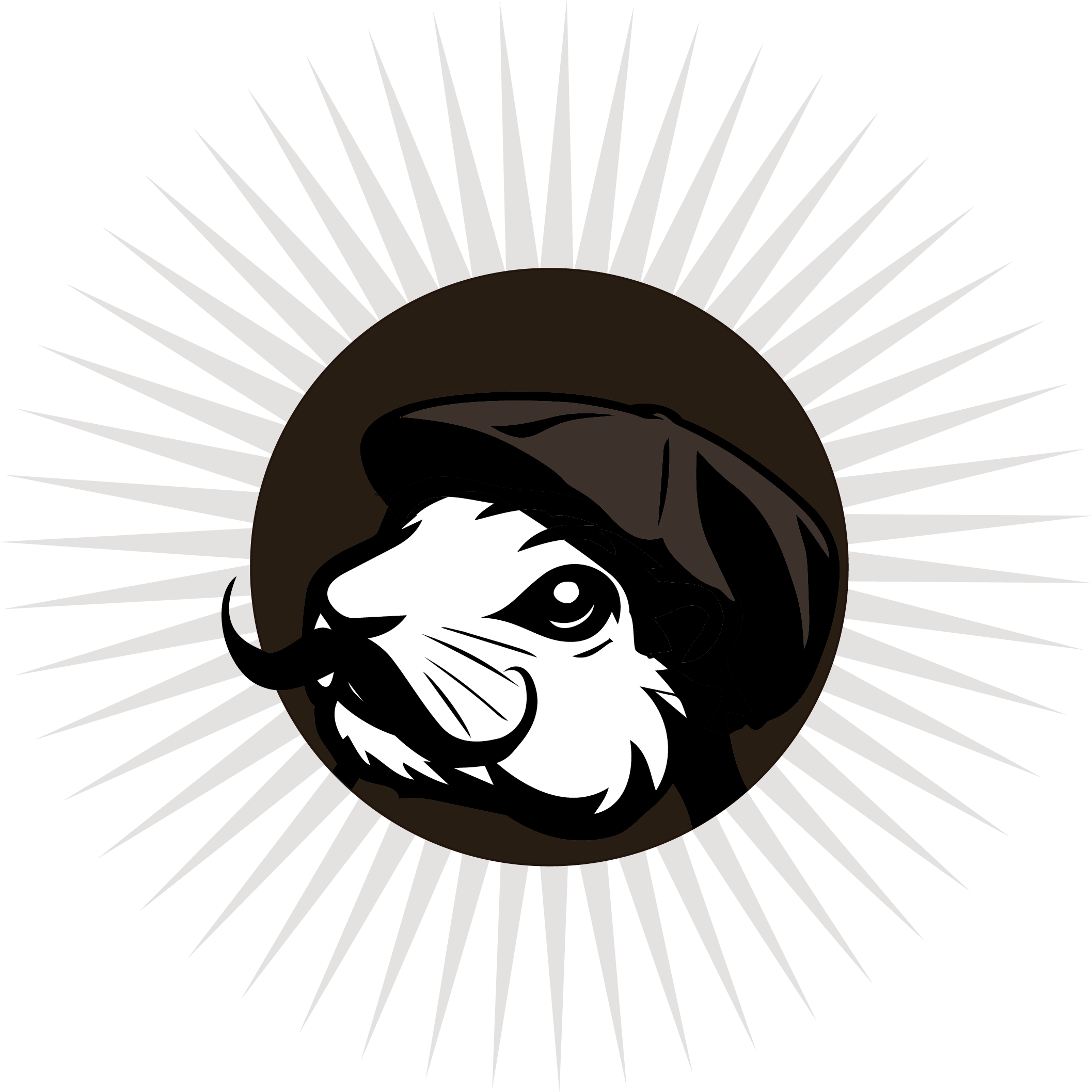 Teonito Bandito